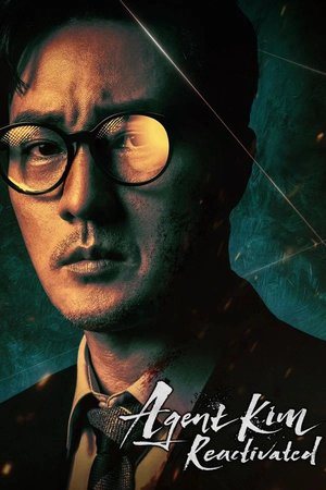 SERIES: Agent Kim Reactivated (Season 1)