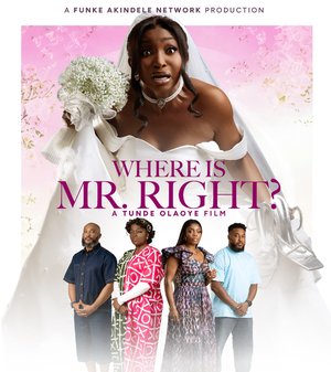 MOVIE: Where is Mr Right? (2026)