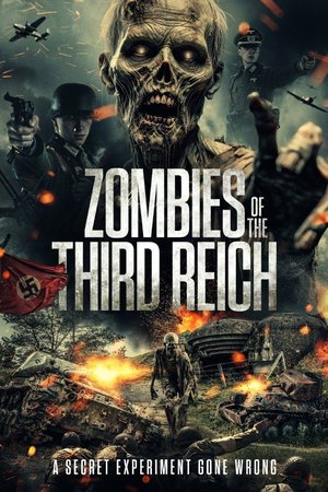 MOVIE: Zombies of the Third Reich (2025)